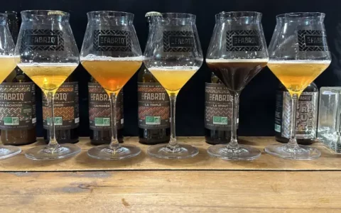degustation-de-bieres-a-la-brasserie-la-fabriq-a-raches-640x640